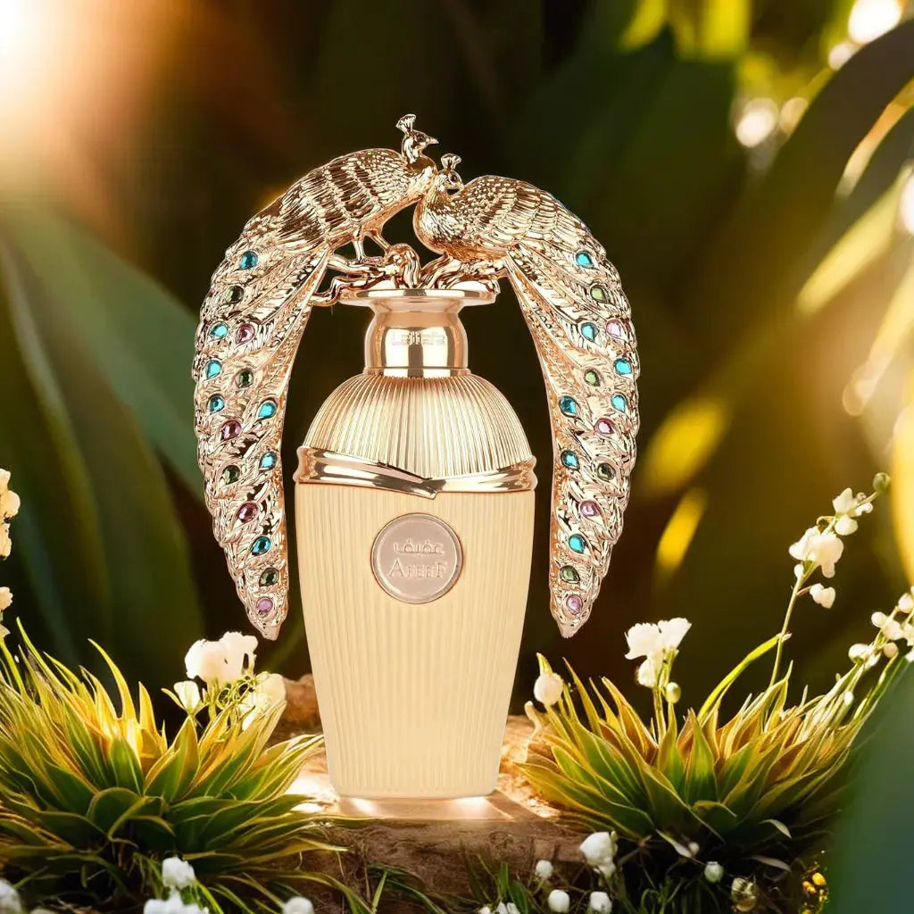 Afeef Eau De Parfum 100ml by Lattafa Shop name