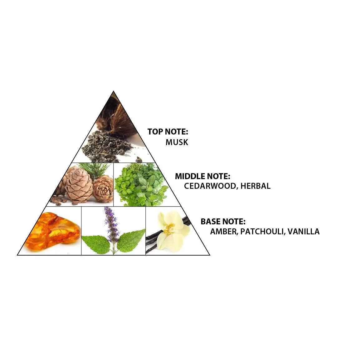 Haramain Layl Concentrated Perfume Oil 12ml (AHP-09)