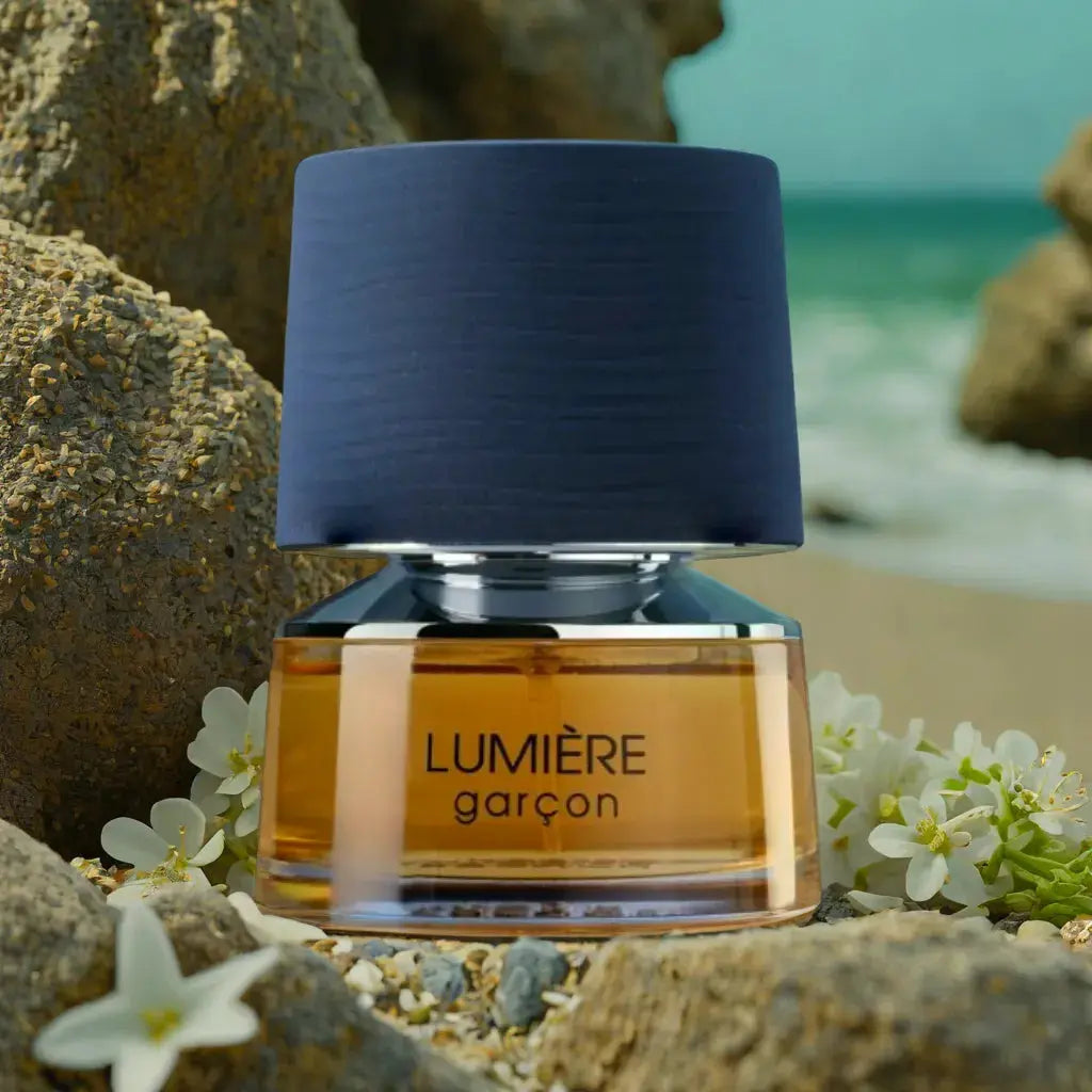Lumiére Garçon Eau de Parfum 80ml French Avenue by Fragrance World Shop name