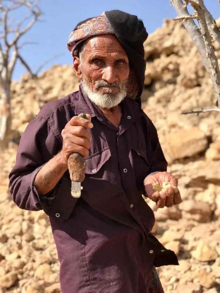 Burning Luban Frankincense, Resin 100g