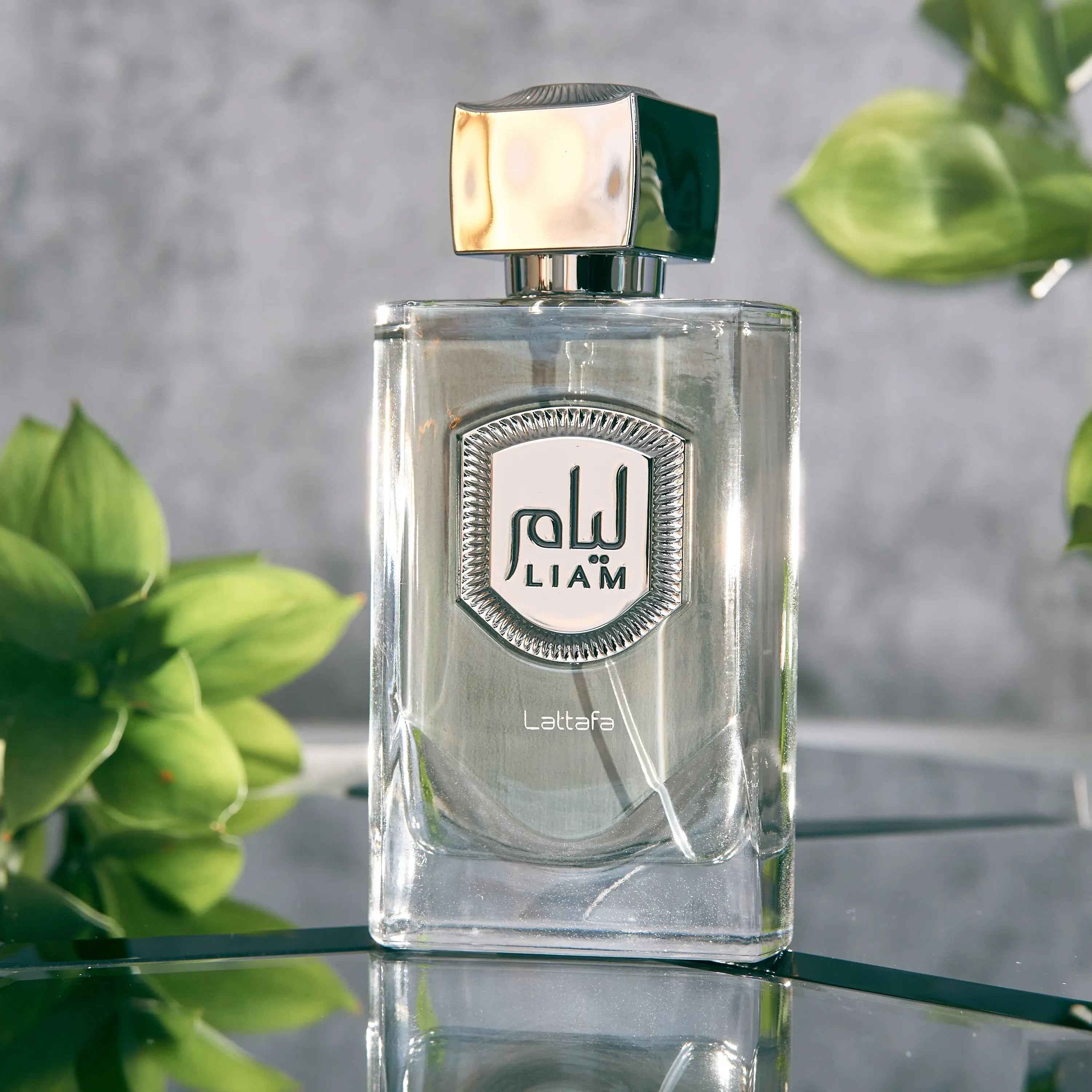 Liam Gray Eau De Parfum 100ml By Lattafa - Perfume Heaven