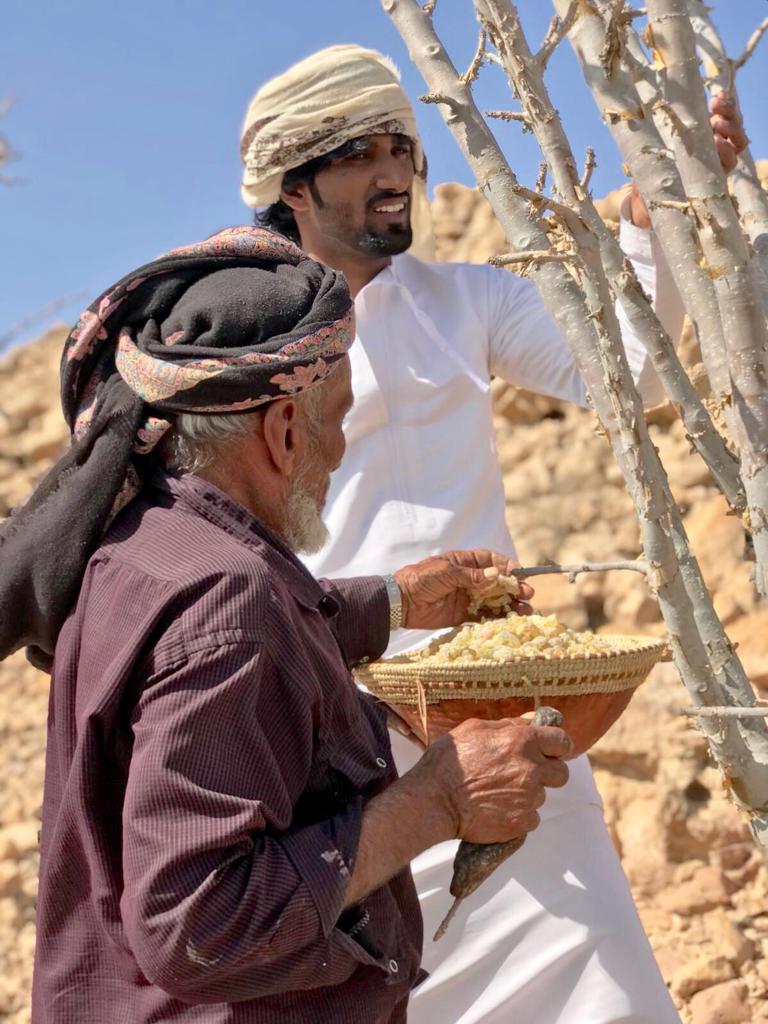 Omani Luban Frankincense, Resin (Arabic Gum) 100g-Perfume Heaven